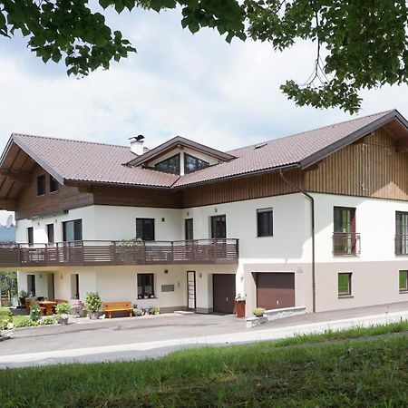 Ferienwohnung Hausleitner Zell am Moos Eksteriør billede