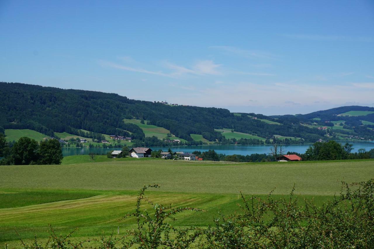 Ferienwohnung Hausleitner Zell am Moos Eksteriør billede