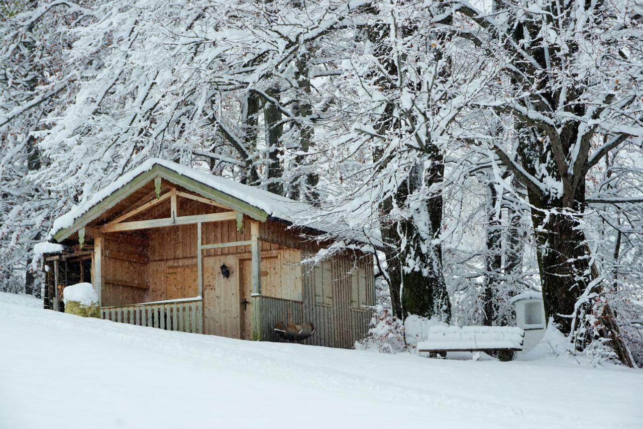 Ferienwohnung Hausleitner Zell am Moos Eksteriør billede